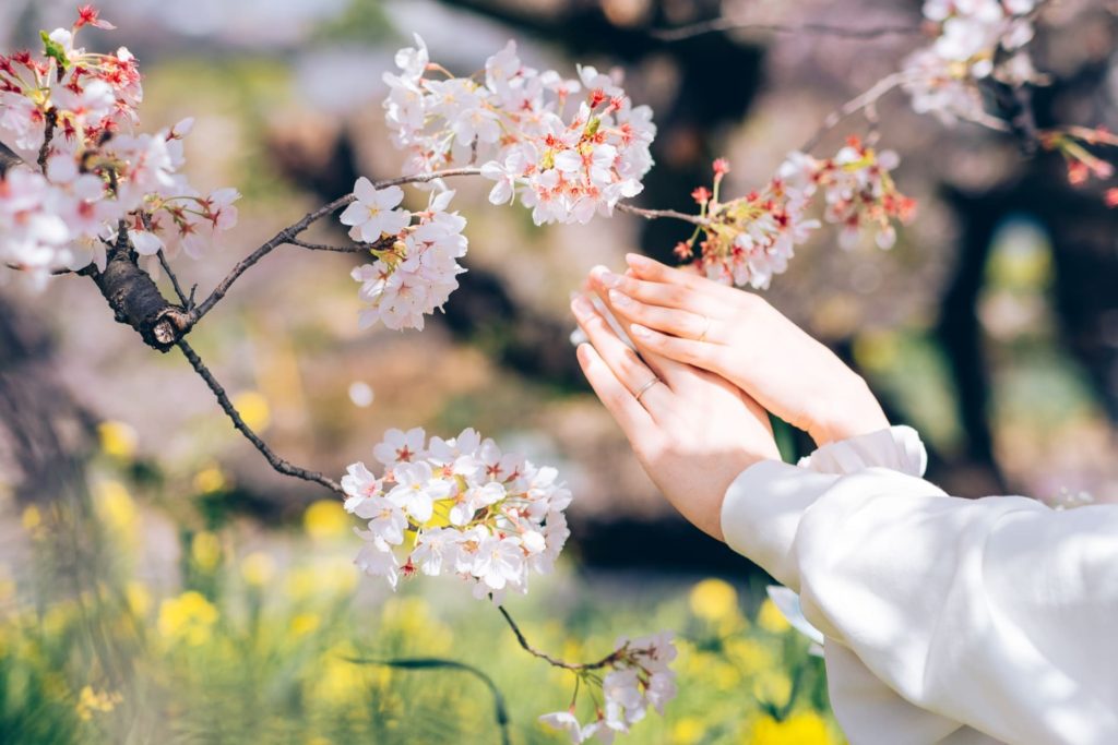 桜と結婚指輪