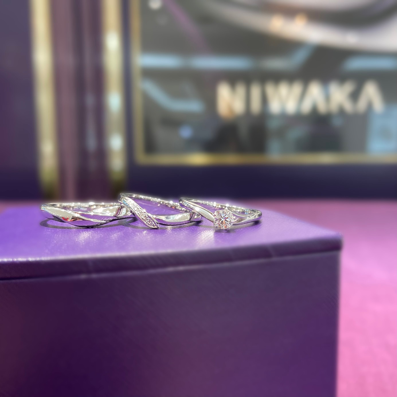 NIWAKA　初桜3点